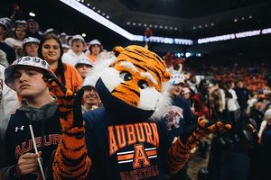 Image post by @aubiethetiger01 on Instagram