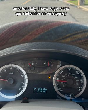 Video post by @mrpeanutoriginal on TikTok