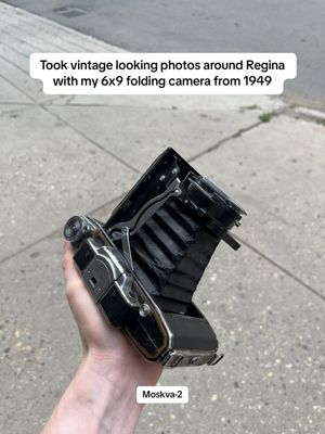 Video post by @lemonspread on TikTok