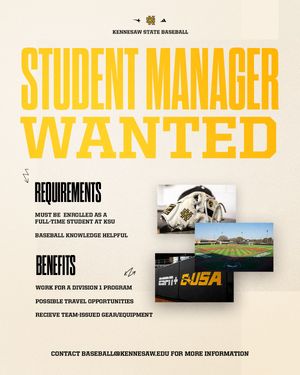 Image post by @ksuowlsbsb on Instagram