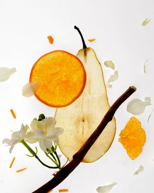 Image post by @atomfresh_official on Instagram