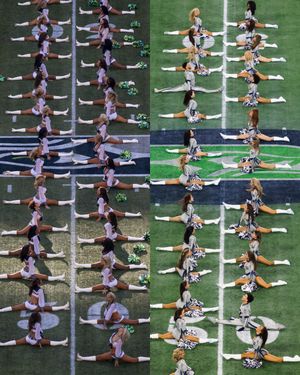 Image post by @seahawksdancers on Instagram