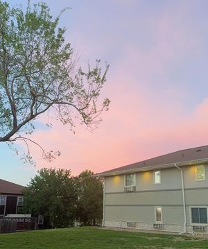 Image post by @sydneyhosick on Instagram