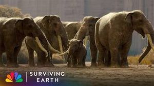 Video post by @nbc on YouTube