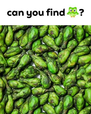 Image post by @duolingoenglishtest on Instagram