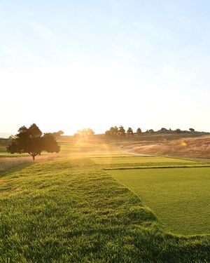 Image post by @RyderCupUSA on Twitter
