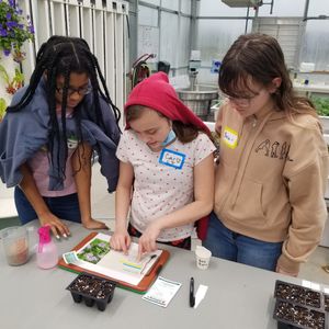Image post by @kidsgardening on Instagram