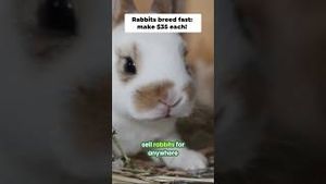 Video post by @bettertogetherlife on YouTube