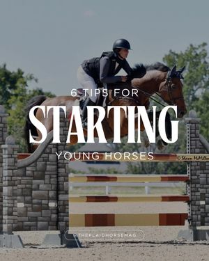 Image post by @theplaidhorsemag on Instagram