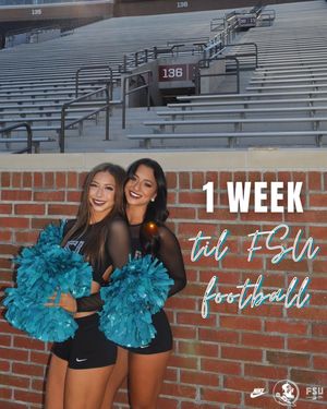 Image post by @fsugoldengirls on Instagram