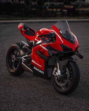 Image post by @panigalers on Instagram