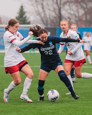 Image post by @nutimberwolves on Instagram