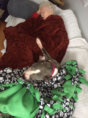 Image post by @livelikeroo on Twitter