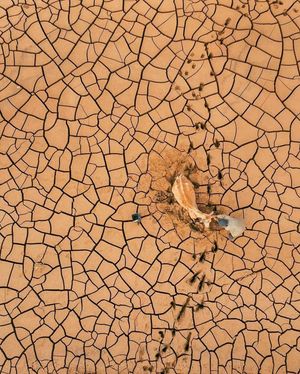 Image post by @droneartgallery on Instagram