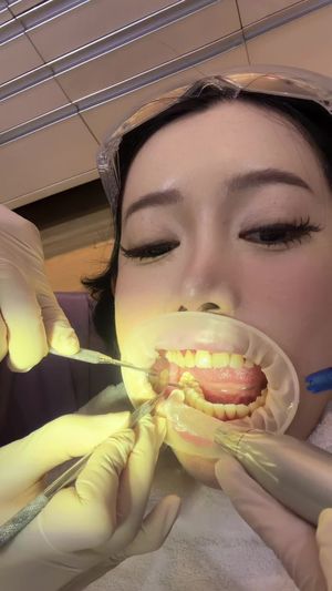 Video post by @stellalee92 on TikTok
