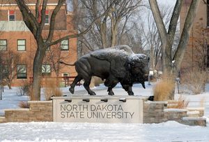 Image post by @ndsubusiness on Instagram