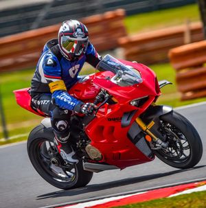 Image post by @panigalers on Instagram
