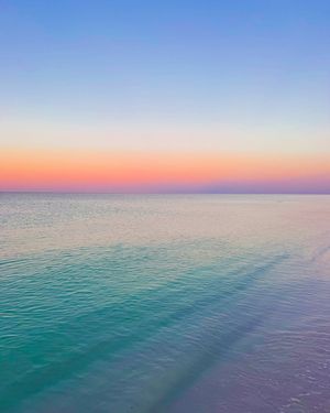 Image post by @southwalton on Instagram