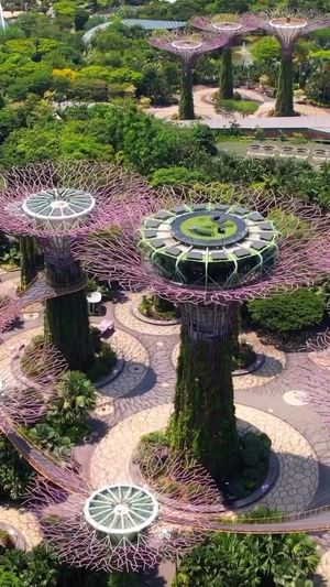 Video post by @droneartgallery on Instagram