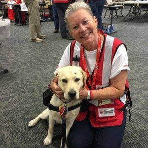 Image post by @americanredcross on Instagram
