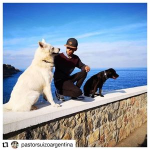 Image post by @medicencau on Instagram