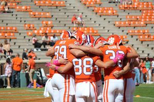 Image post by @cutigervision on Instagram