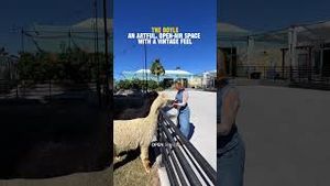 Video post by @vegasstays on YouTube