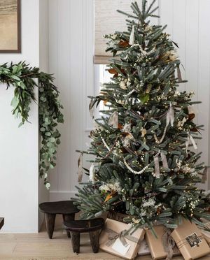 Image post by @kimberleyctaylor on Instagram