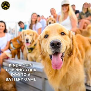 Image post by @charlestonbattery on Instagram