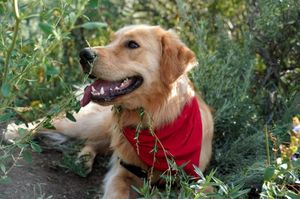 Image post by @arrowheadco on Instagram