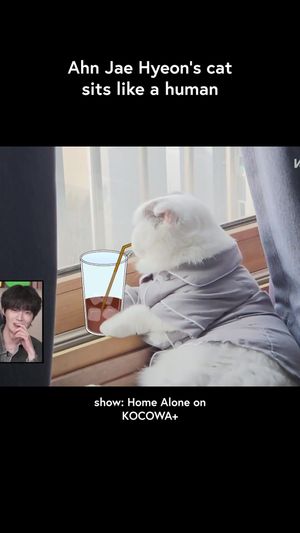 Video post by @kocowa.official on TikTok