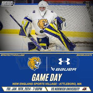 Image post by @jwumenshockey on Instagram
