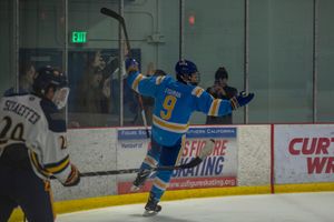 Image post by @lizagazaryanphotography on Instagram