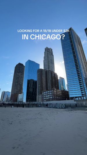 Video post by @smartcitychicago on TikTok