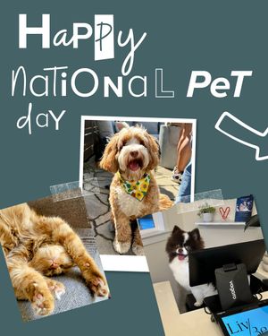 Image post by @vagaropro on Instagram