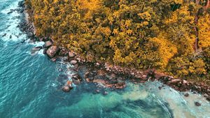 Image post by @caiosteffen on Instagram