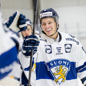 Image post by @leijonatfi on Instagram
