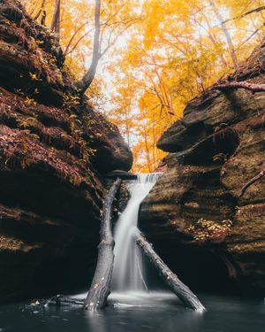 Image post by @kyle_petersen21 on Instagram