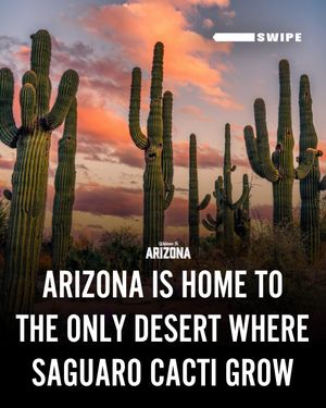 Image post by @welcometoarizona on Instagram