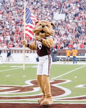 Image post by @hailstate on Instagram