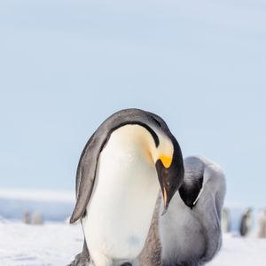 Image post by @white.desert.antarctica on Instagram