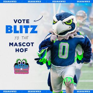 Image post by @blitztheseahawk on Instagram