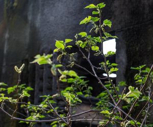 Image post by @tnf_urbanexploration_hk on Instagram