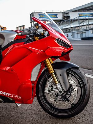 Image post by @panigalers on Instagram