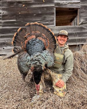 Image post by @scheelsoutdoors on Instagram