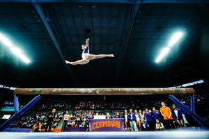 Image post by @lillylippeatt on Instagram