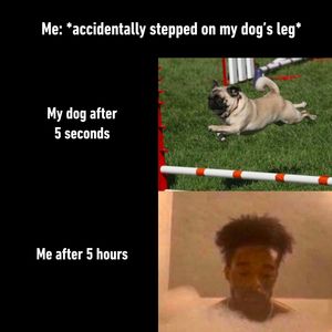 Image post by @9gag on Instagram