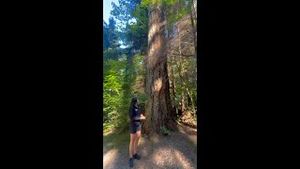 Video post by @westjet on YouTube