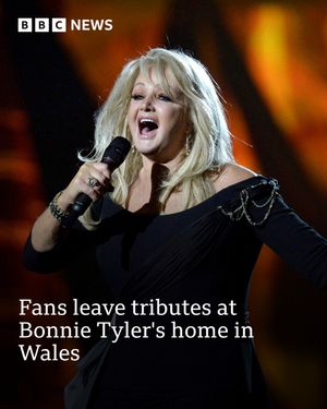 Image post by @bbcnews on Instagram
