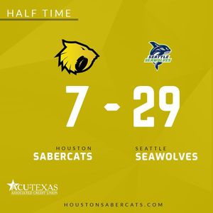 Image post by @houstonsabercats on Instagram